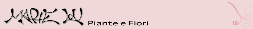 marielou piante e fiori home page